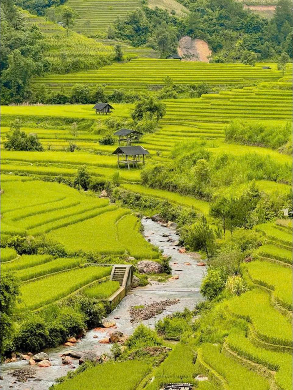 Mu Cang Chai Eco Home Экстерьер фото